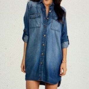 Current/Elliott The Lily Dress, Denim Long Sleeve Shirt Dress, Size 2 (Medium)